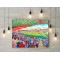 Hamilton Academical FC New Douglas Park Stadium Wall Art Canvas